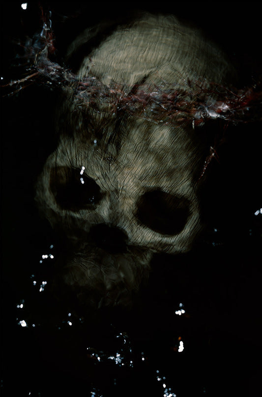 Shakespeare hamlet Othello the skull with a crown of thorns