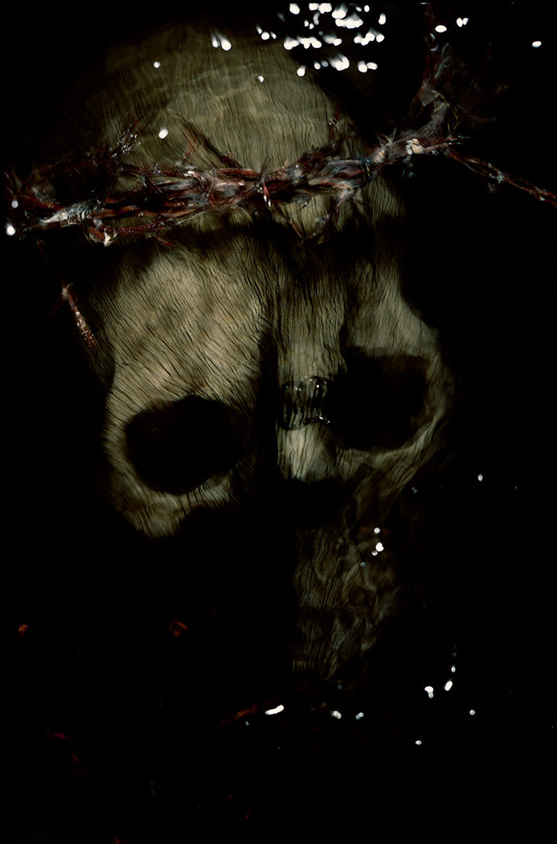 the human skull and its symbology in art underwater