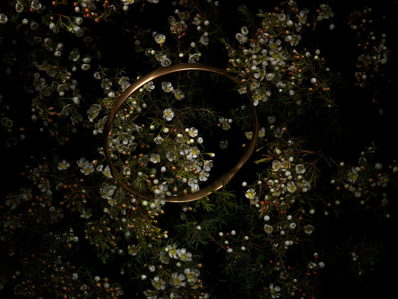 without Ophelia appearing herself here you can see her drowned halo as a reference to the past