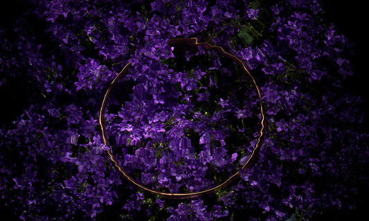 Radiant Halo I - Underwater Golden Ring on Vibrant Purple Flowers