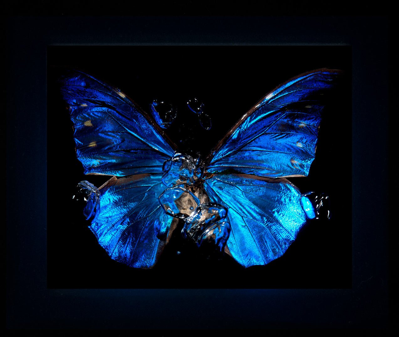 Transparency of a dream illuminated. Plate II  photographic print - €6950 | Shop now & buy direct from the artists studio - Distil Ennui ™ est.1990.