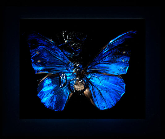 Transparency of a dream illuminated. Plate III  photographic print - €6950 | Shop now & buy direct from the artists studio - Distil Ennui ™ est.1990.