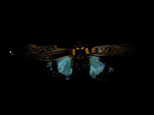Reflecting Tranquility: Flying Beetles in Liquid Dreams