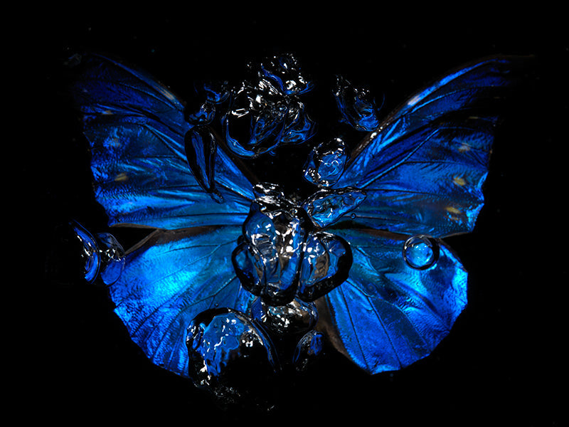 Cry of Life: A Vanitas Reflection in Underwater Art