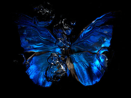 Aqua Allegro: Underwater Ballet of Butterfly Grace