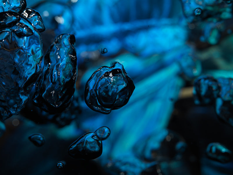 Vanishing Bubbles: The Sublime Beauty of Blue Morpho Butterflies