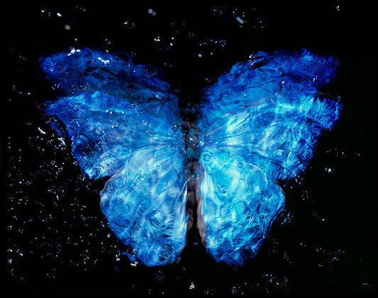 Rare Blue Wings Beauty: Analog Film Vanitas Photography