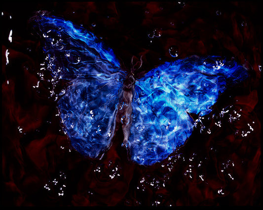 Blue Wings of Hope: Underwater Vanitas Photography with a Conservation Message