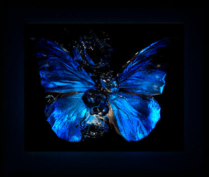 Transparency of a dream illuminated. Plate VI  photographic print - €6950 | Shop now & buy direct from the artists studio - Distil Ennui ™ est.1990.