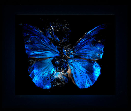 Transparency of a dream illuminated. Plate VI  photographic print - €6950 | Shop now & buy direct from the artists studio - Distil Ennui ™ est.1990.