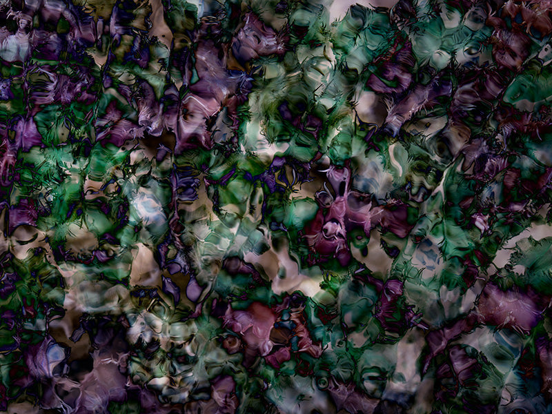 Underwater analogue photograph, DE abstract, verdant low light tonality