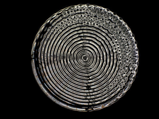 Liquid Light Symphony: A Visual Journey through Einstein's General Theory