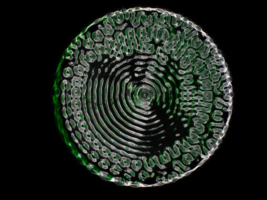 Art meets Science: Gravitational Waves Come to Life in Cymatics Photography