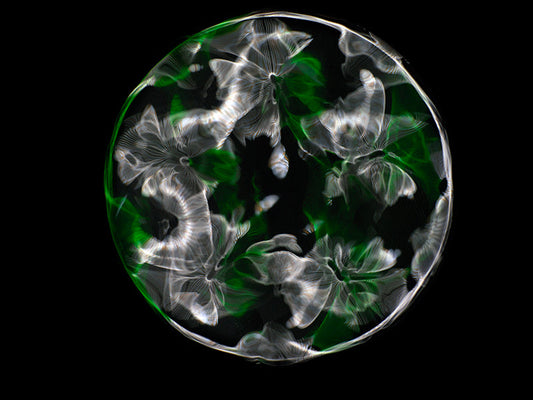 The Art of Discovery: Cymatics Photography Brings Gravitational Waves to Life