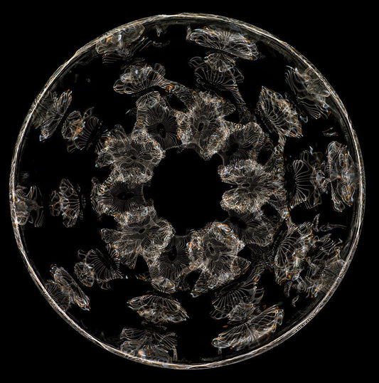 Einstein's Liquid Insight: Cymatics Photography and the Revelation of Gravitational Waves