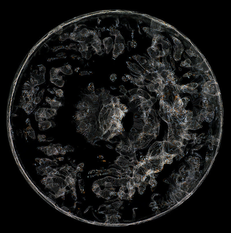 Einstein's Liquid Cosmos: Cymatics Photography Reveals the Fluidity of Gravitational Waves