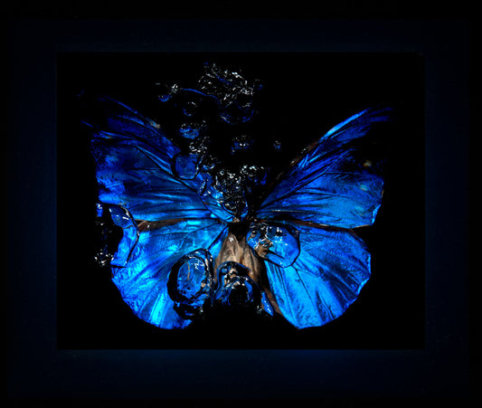 Transparency of a dream illuminated. Plate VII  photographic print - €6950 | Shop now & buy direct from the artists studio - Distil Ennui ™ est.1990.