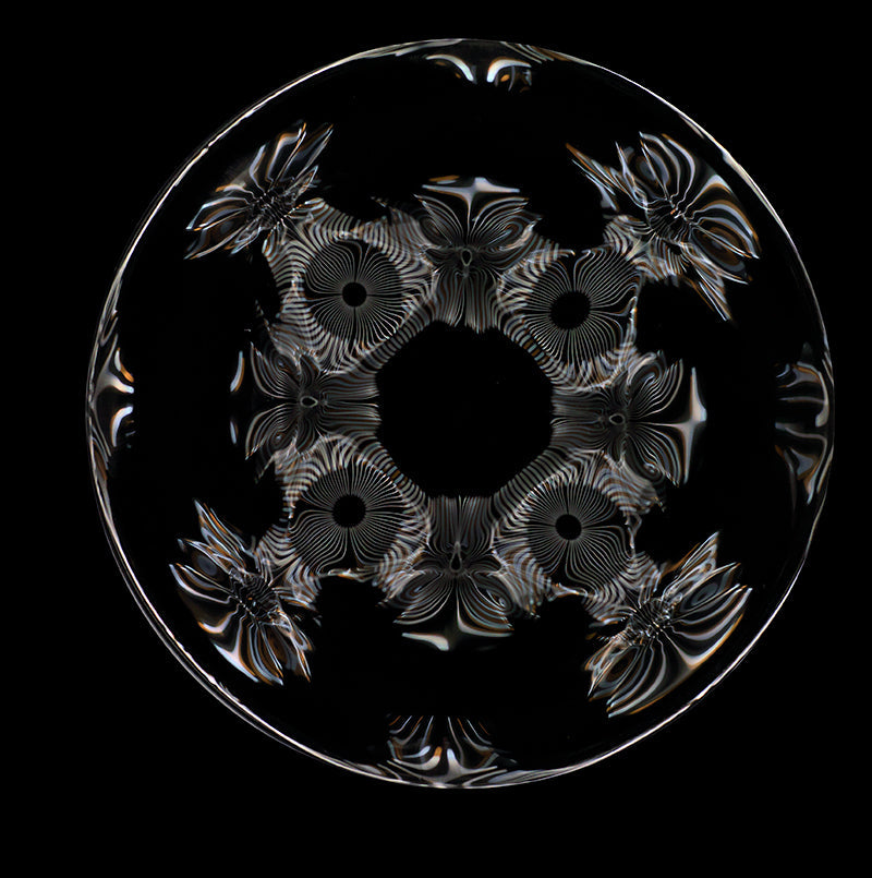 Cymatic Symphony: Gravitational Waves Conducted through Einstein's Visionary Photography
