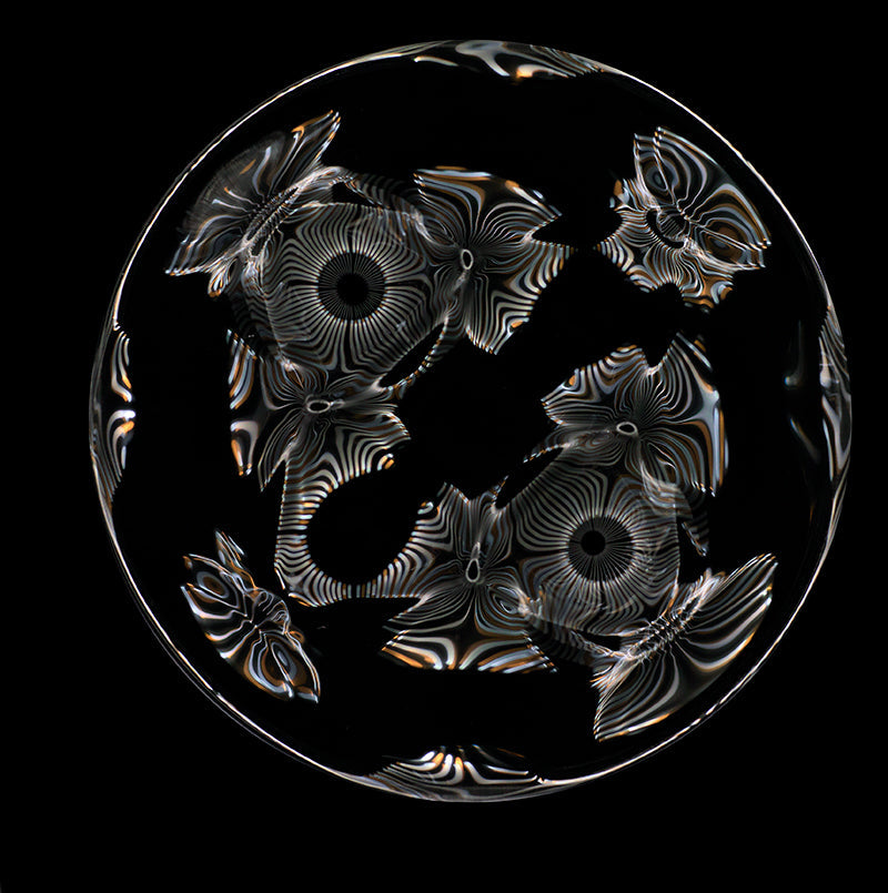 Discover Gravitational Wave Art: Exclusive Cymatics Photography Collection