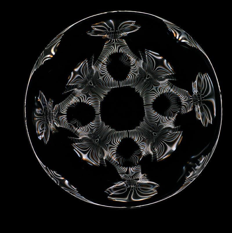 Einstein's Legacy in Art: Cymatics Photography Depicts Gravitational Waves