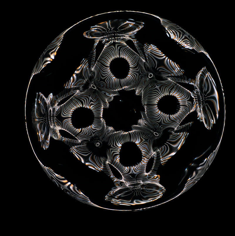 Dive into Discovery: Gravitational Waves Explored with Cymatics Photography