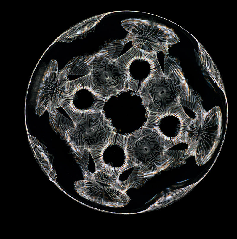 Immerse Yourself: Gravitational Waves in Vibrant Cymatics Photography