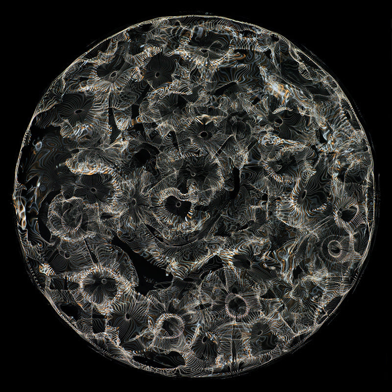 Einstein's Vision in Color: Cymatics Photography of Gravitational Waves