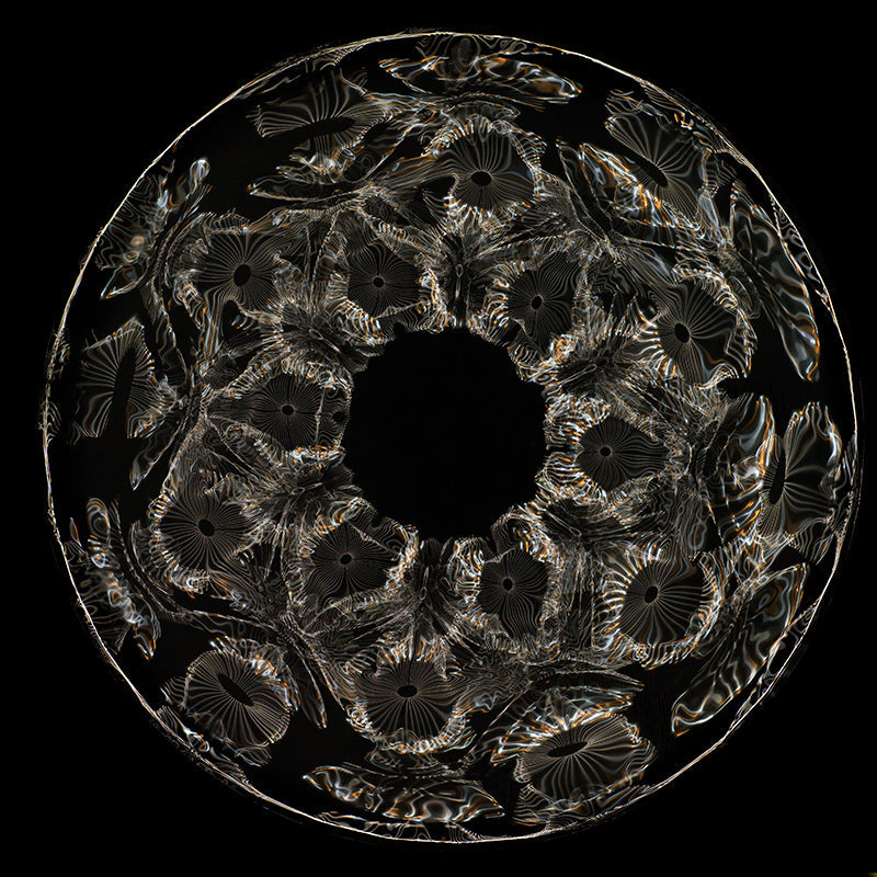 Einstein's Universe Unveiled: Gravitational Waves and Cymatics Photography