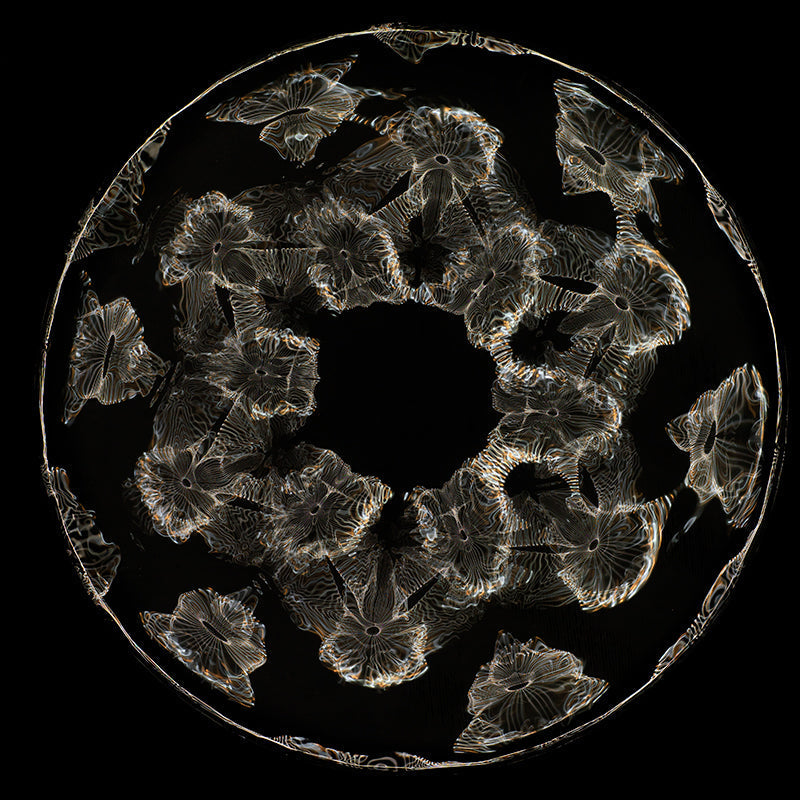 Liquid Dynamics: Cymatics Photography Offers Insights into Gravitational Waves