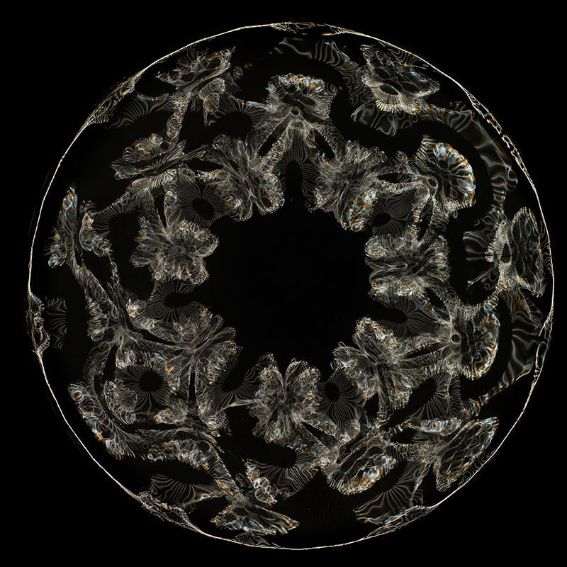 Einstein's Discovery: Gravitational Waves Visualized in Cymatics Photography