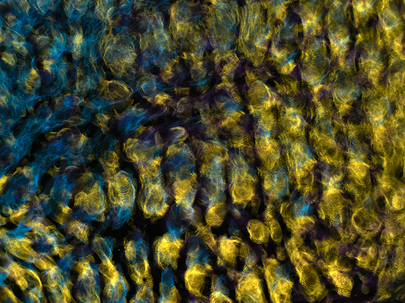 Designing the Universe: Gravitational Waves in Cymatics Photography