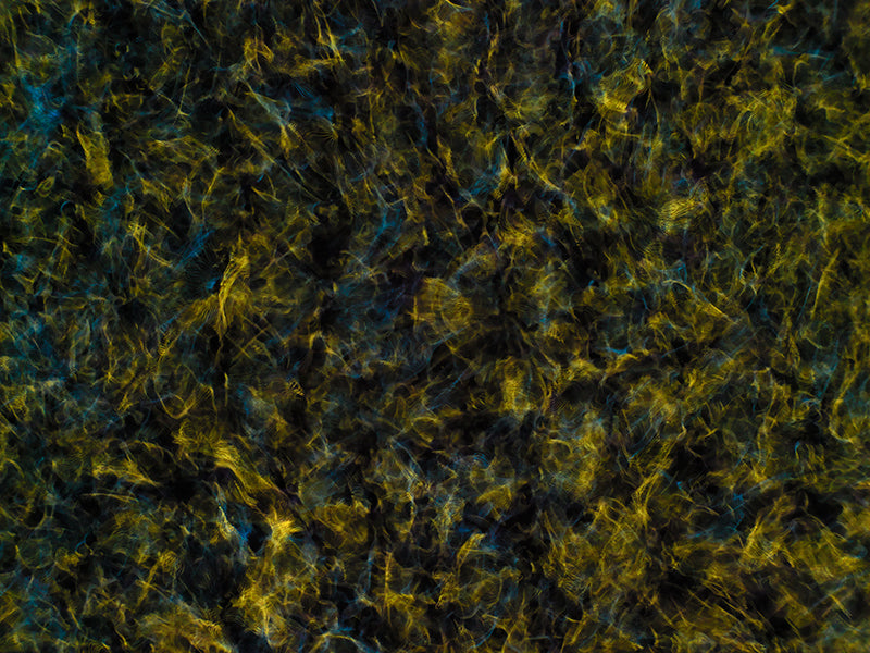 Designing the Future: Gravitational Waves Explored with Cymatics