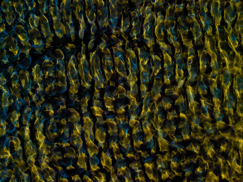 Creative Insights: Gravitational Waves in Cymatics Visuals