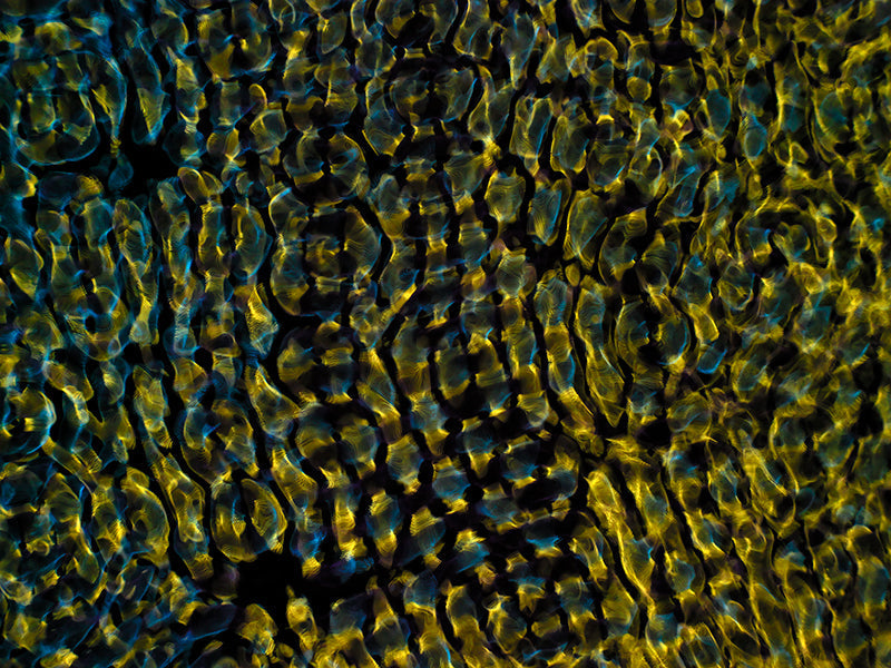 Cymatics Creativity: Gravitational Waves Visualized for Designers
