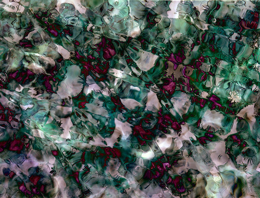 Underwater analogue photograph, PCK abstract, verdant mid tone tonality