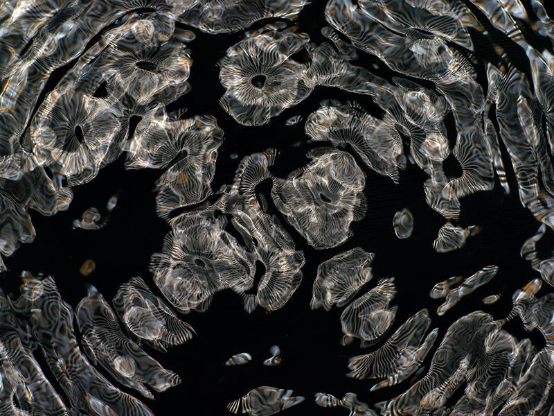 Design Mavericks: Gravitational Waves Portrayed in Cymatics Photography