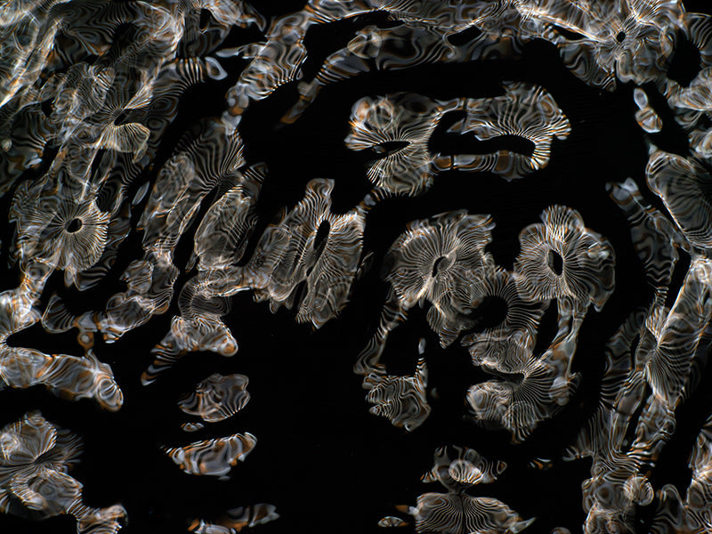 Visual Renaissance: Gravitational Waves in Cymatics Photography Showcase