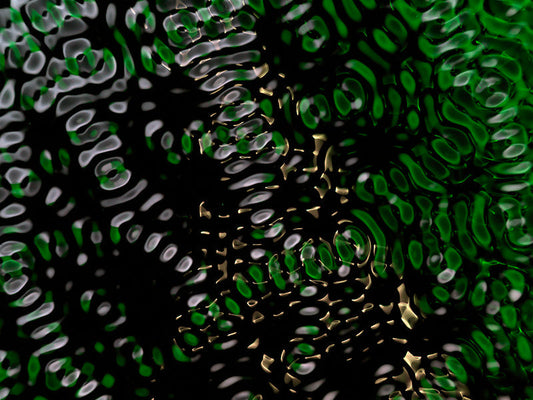 Wave Visions: Exploring the Universe through Gravitational Waves