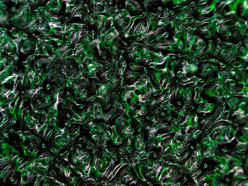 Innovative approaches to visualizing physics