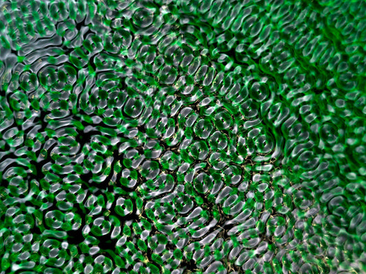 Cymatics artwork for educational presentations