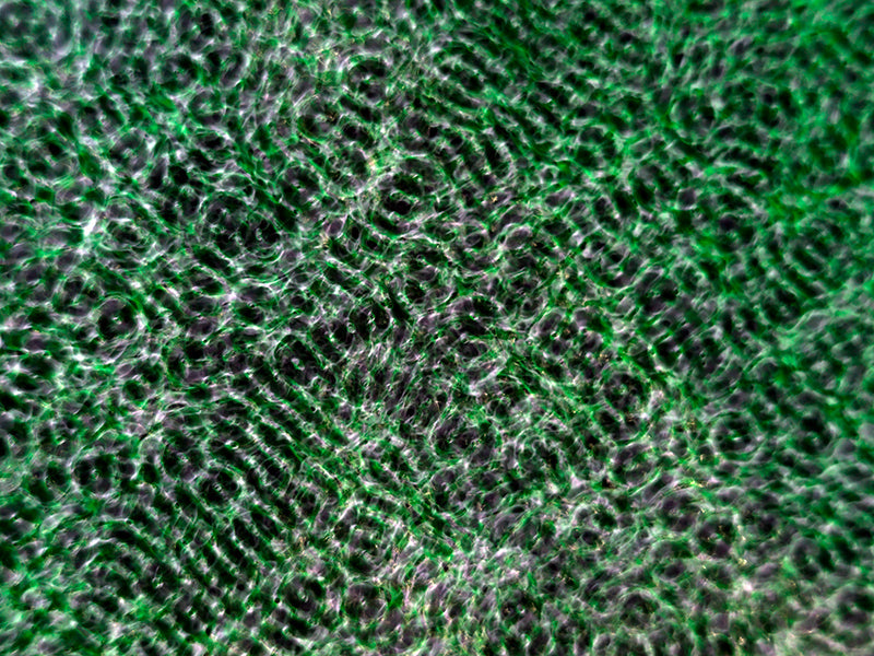 Artistic interpretations of Einstein's theories