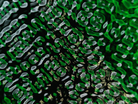 Imaginative photography for science exhibitions