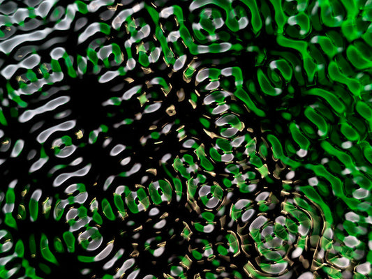 Cymatics art collection for design inspiration