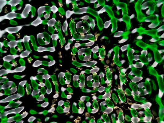 Captivating images of wave dynamics