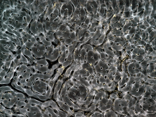 Inspiring artwork for science-themed designs