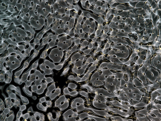 Aesthetic representations of wave phenomena