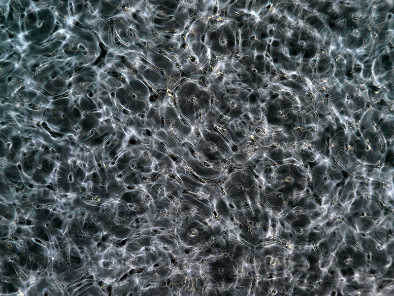 Artistic depictions of gravitational waveforms