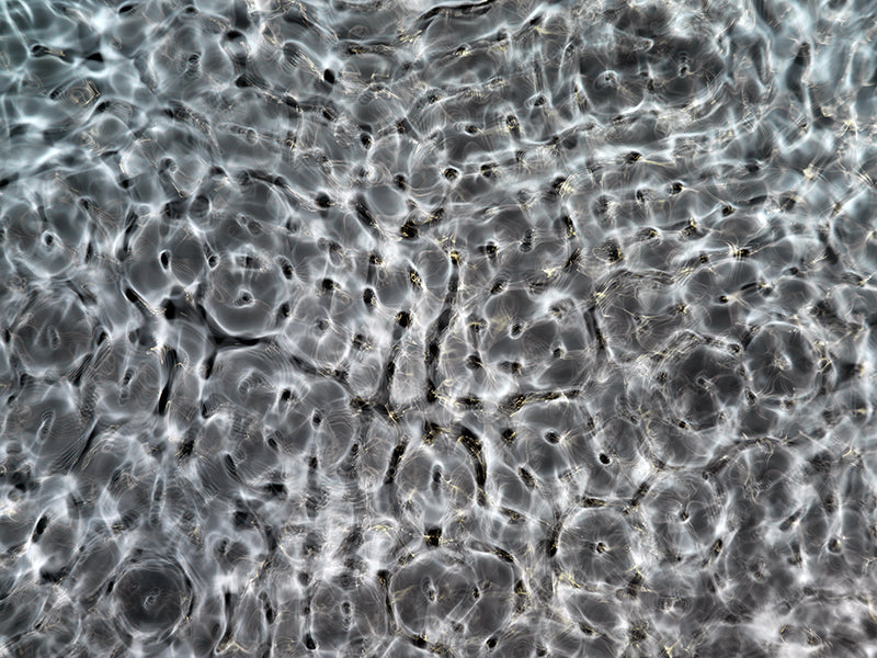 Einstein-inspired visuals for creative projects