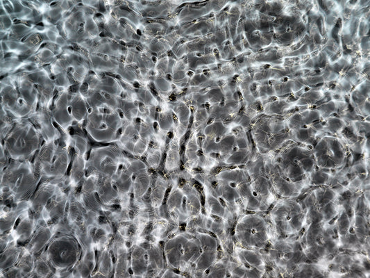 Einstein-inspired visuals for creative projects