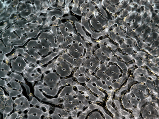 Cymatics photography showcasing gravitational wave phenomena